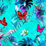 Colour:B