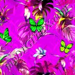 Colour:D