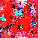 Colour:F