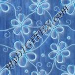 Colour:F