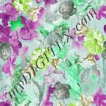 Colour:C
