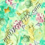 Colour:K