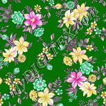 Colour:B