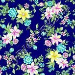 Colour:K