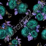 Colour:F