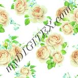Colour:K