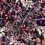 Colour:A