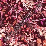 Colour:J