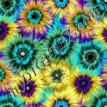 Colour:F
