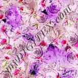 Colour:B