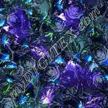 Colour:F