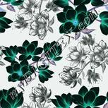 Colour:F