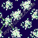 Colour:D