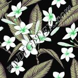 Colour:D