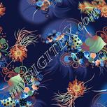 Colour:F