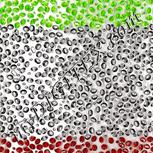 Colour:D