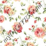 Colour:A