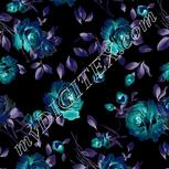 Colour:F