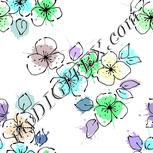 Colour:C