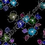 Colour:F