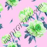 Colour:C