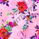 Colour:B