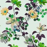 Colour:C