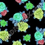 Colour:C