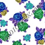 Colour:F