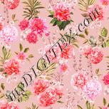 Colour:J