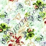 Colour:K