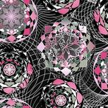 Colour:B