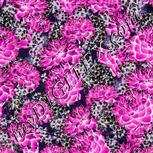 Colour:B
