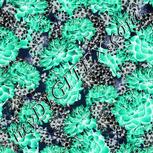 Colour:C