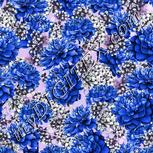Colour:F