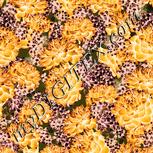 Colour:J