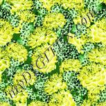 Colour:K