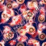 Colour:J