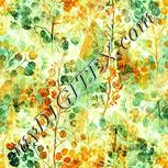 Colour:K