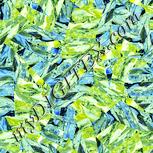 Colour:K