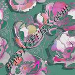 Colour:B