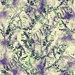Colour:D