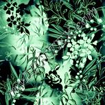 Colour:K