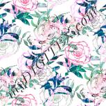 Colour:B