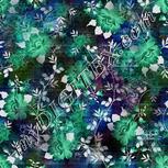 Colour:F