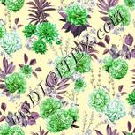 Colour:D