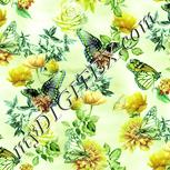 Colour:K