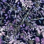 Colour:F