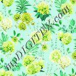 Colour:K