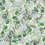 Colour:C
